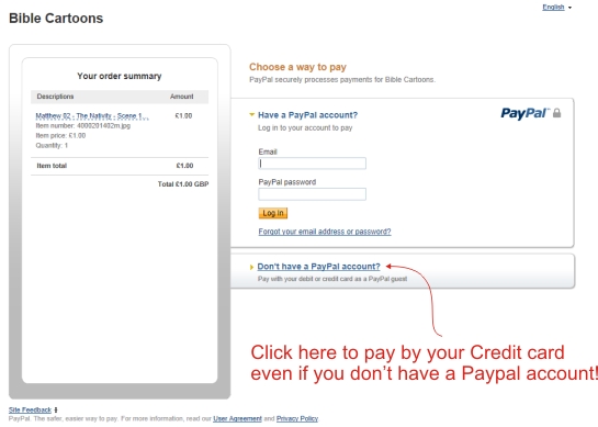 Credit card payment without Paypal account