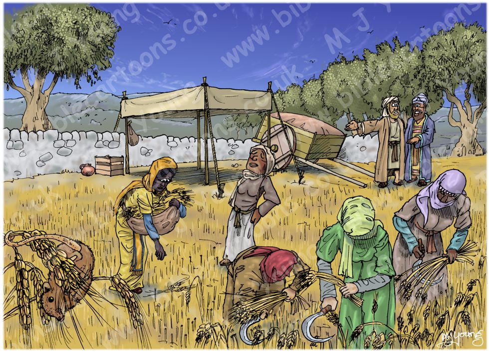 Ruth 02 - Harvesting - Scene 02 - Boaz arrives 980x706px col