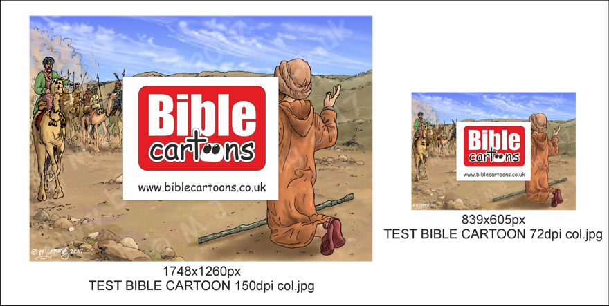 TEST BIBLE CARTOON