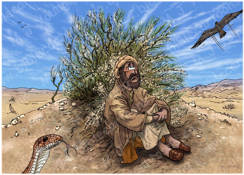 1 Kings 19 - Elijah flees to Horeb - Scene 02 - Broom desperation 980x706px col.jpg