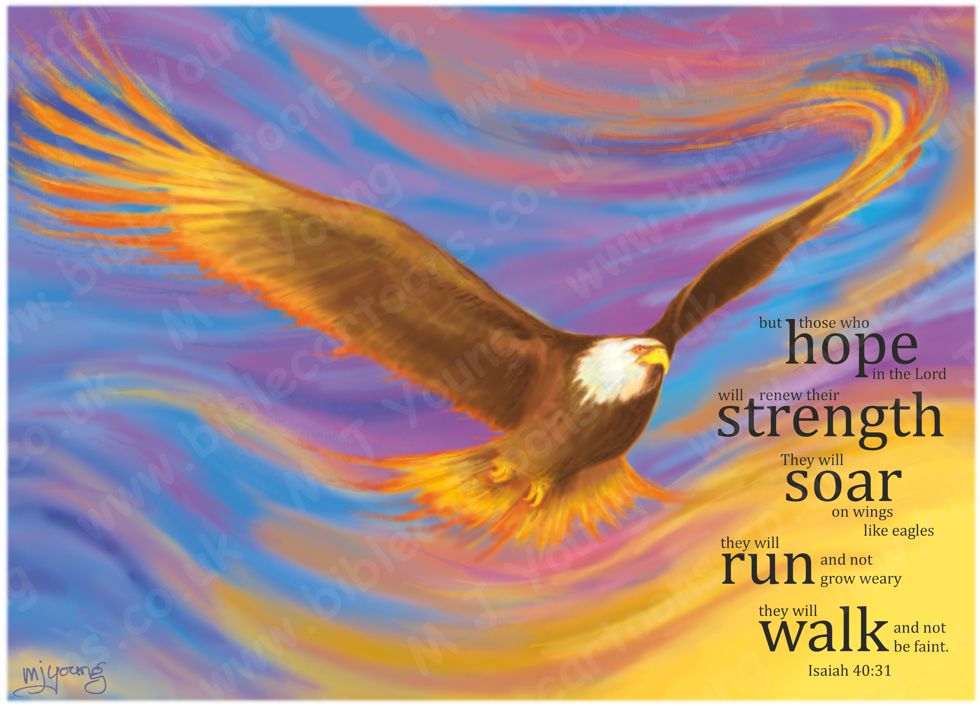 Isaiah 40 - Brown Eagle (Version 03 - Smooth backgnd with text) 980x706px col.jpg