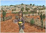 Matthew 13 - Parable of the sower - Scene 02 - Birds eat seed 980x706px col.jpg