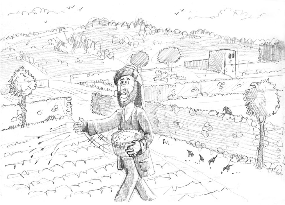 Matthew 13 - Parable of the sower - Scene 02 - Birds eat seed 980x706px greyscale.jpg