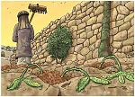 Matthew 13 - Parable of the sower - Scene 03 - Shallow roots 980x706px col.jpg