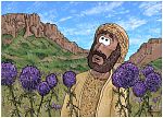 1 Kings 21 - Naboth’s Vineyard - Scene 06 - Elijah hears God’s word 980x706px col.jpg