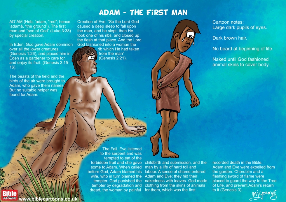 Adam character sheet col.jpg