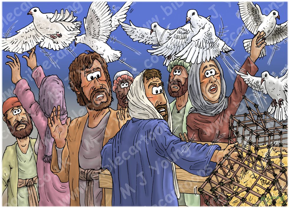 John 02 - Jesus clears the temple - Scene 04 - Dove sellers confronted 980x706px col.jpg