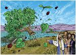 Luke 17 - Teachings about Forgiveness and Faith - Scene 03 - Mulberry tree faith 980x706px col.jpg