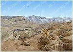 Genesis 21 - Hagar and Ishmael sent away - Scene 04 - Well revealed (with Lizard) - Background 980x706px col.jpg