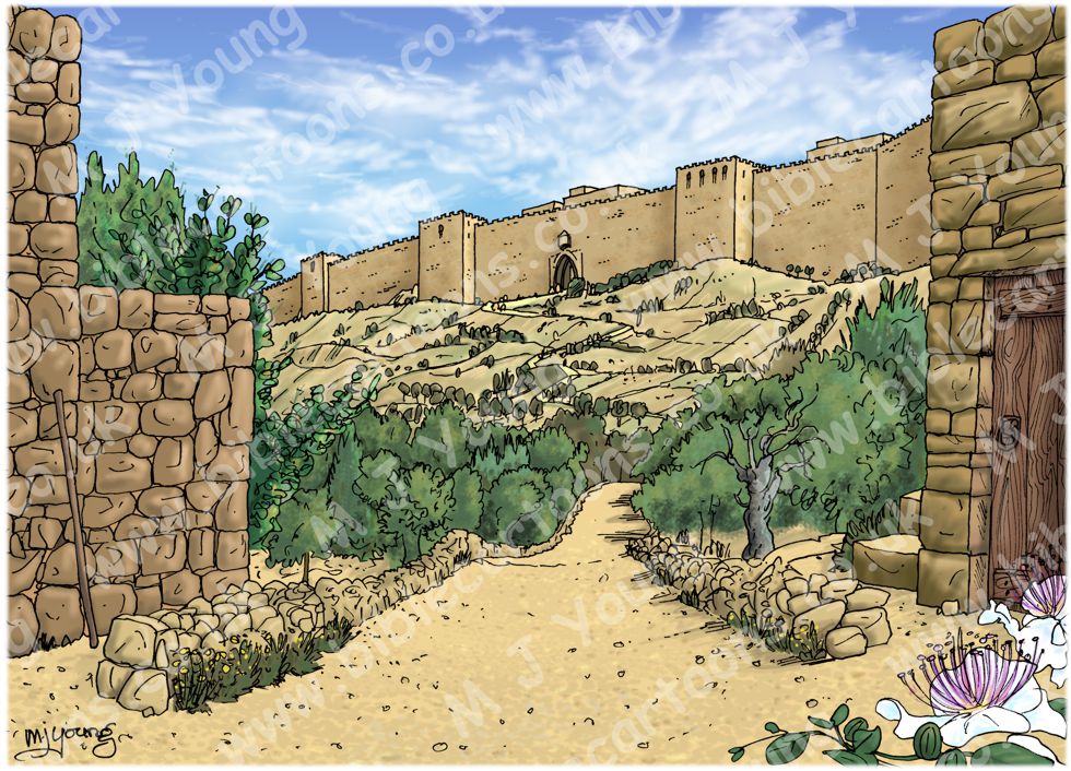Luke 02 - Prophecies about Jesus - Scene 01 - To Jerusalem - Background 980x706px col.jpg