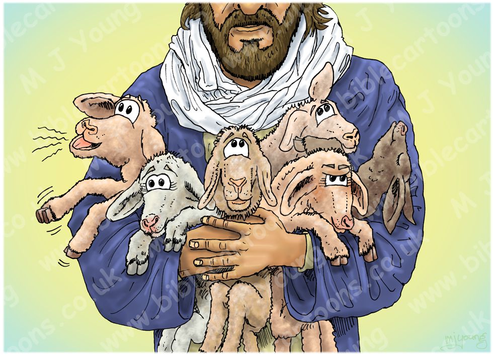 Isaiah 40v11 - Lambs in shepherd's arms