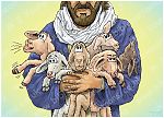 Isaiah 40v11 - Lambs in shepherd's arms