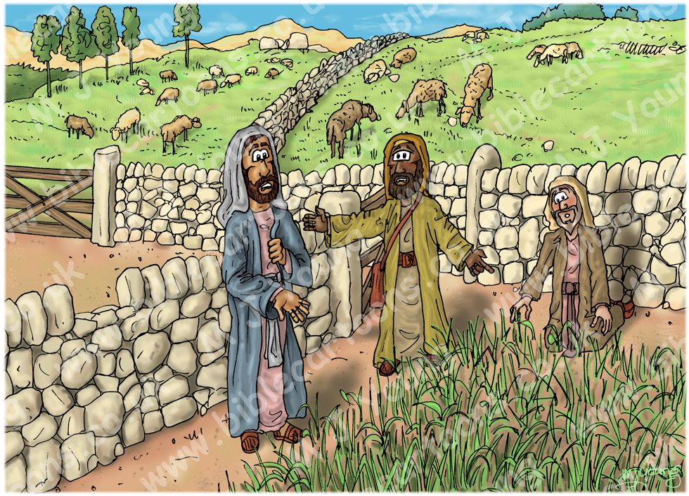 Matthew 13 - Parable of the weeds - Scene 03 - Weed question