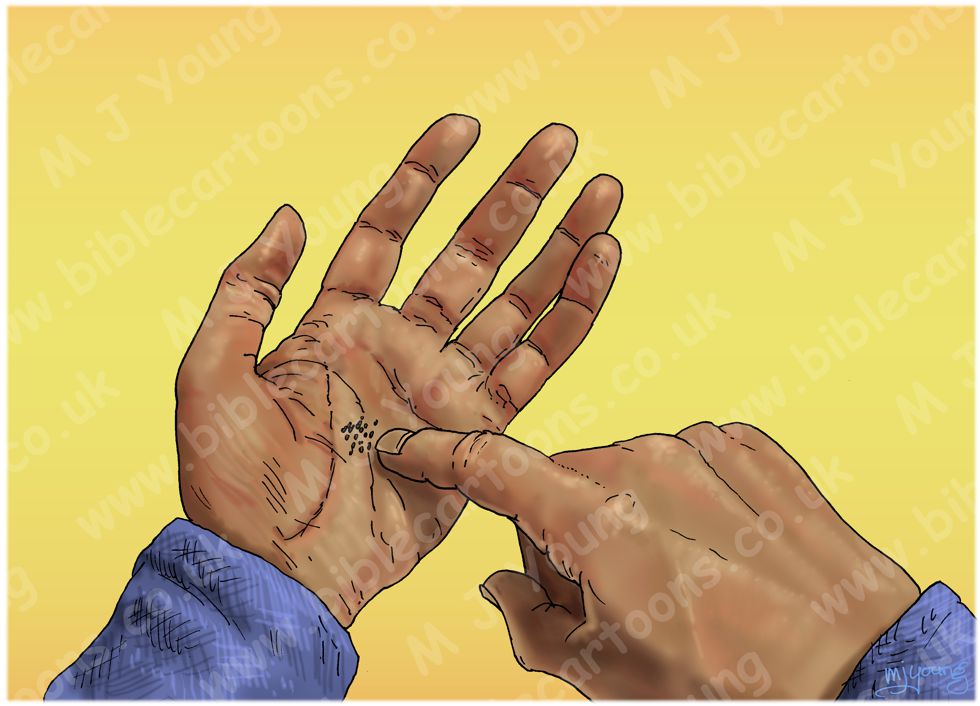 Matthew 13 - Parable of the mustard seed - Scene 01 - Tiny seeds