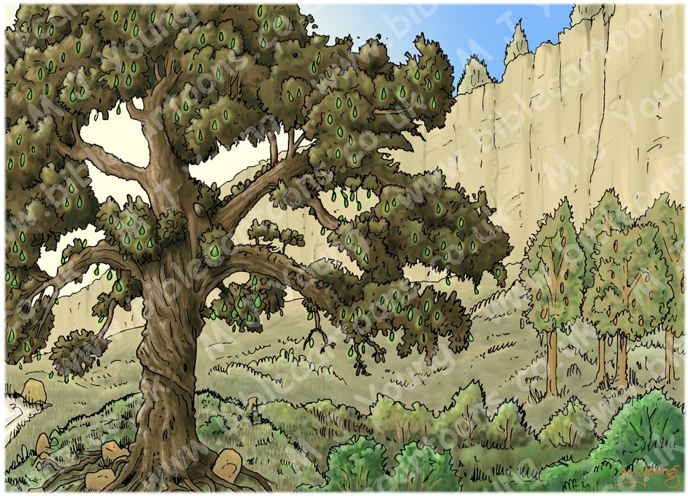 Genesis 02 - Adam and Eve - Scene 04 - God warns of death - Background