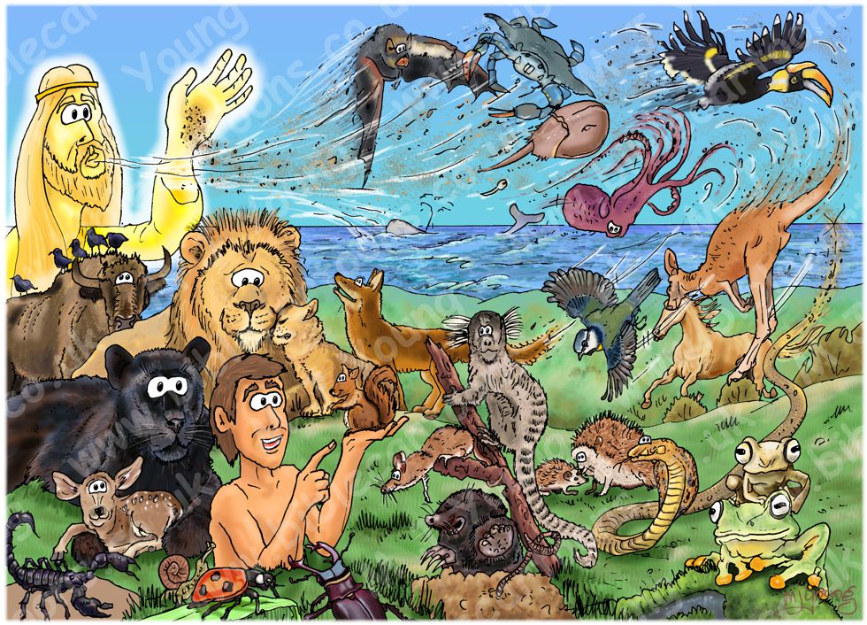 Genesis 02 - Adam and Eve - Scene 05 - Adam names the animals