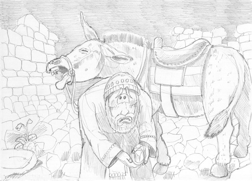 Nehemiah 02 - Nehemiah inspects Jerusalem’s walls - Scene 04a - Donkey with stone in hoof 980x706px greyscale - PENCIL