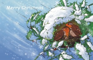 Christmas card - Christmas Robins