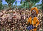 Matthew 18 - Parable of lost sheep - Scene 01 - Sheep pen