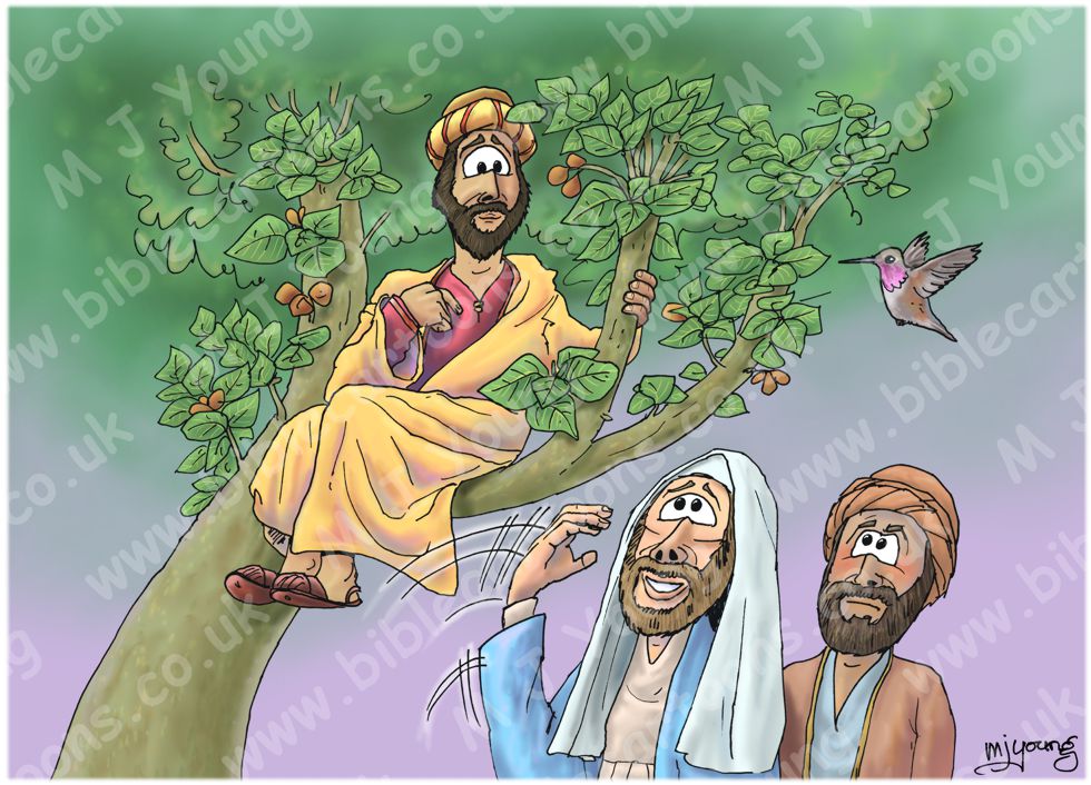 Luke 19 - Zacchaeus the tax collector - Scene 04a - Who me?