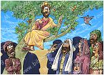 Luke 19 - Zacchaeus the tax collector - Scene 04 - Jesus calls 980x706px col