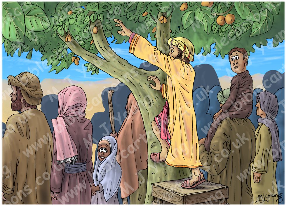 Luke 19 - Zacchaeus the tax collector - Scene 03 - Climbing tree 980x706px col